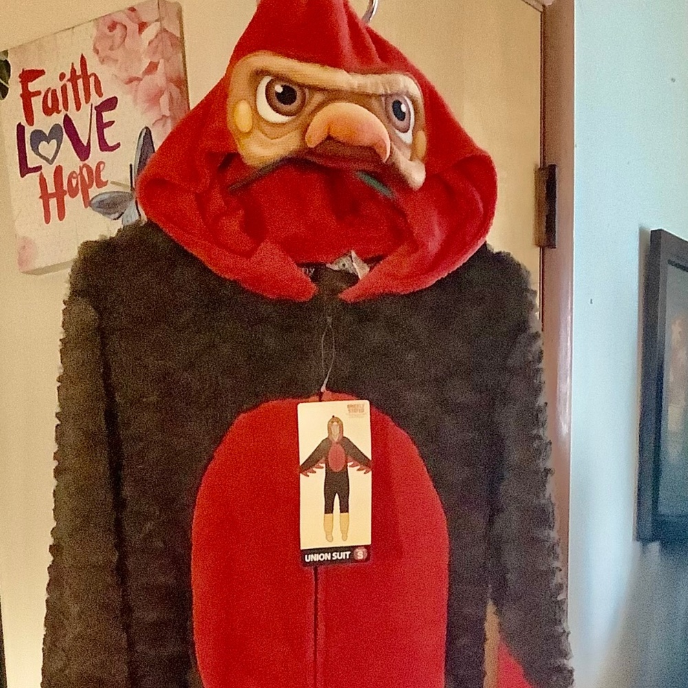 Adult Costume